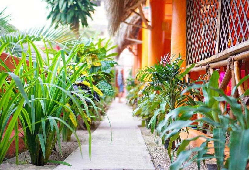 ホテル Aurinko Bungalows