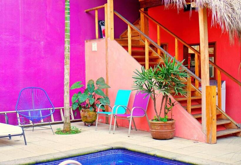 ホテル Aurinko Bungalows