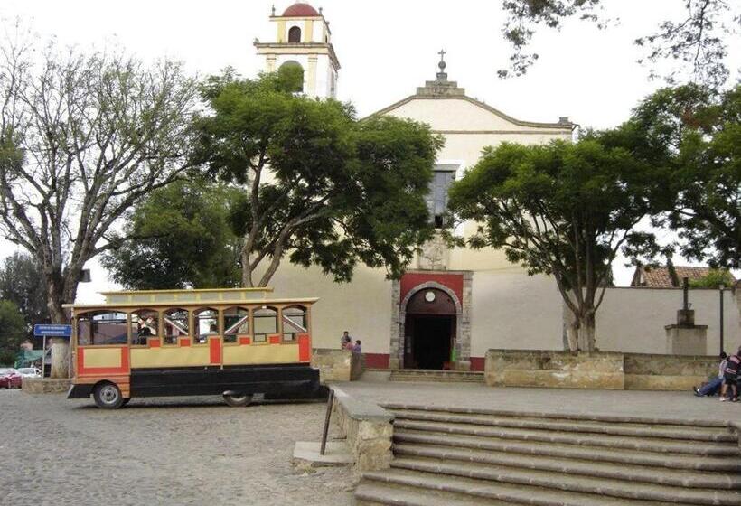 فندق Bella Vista