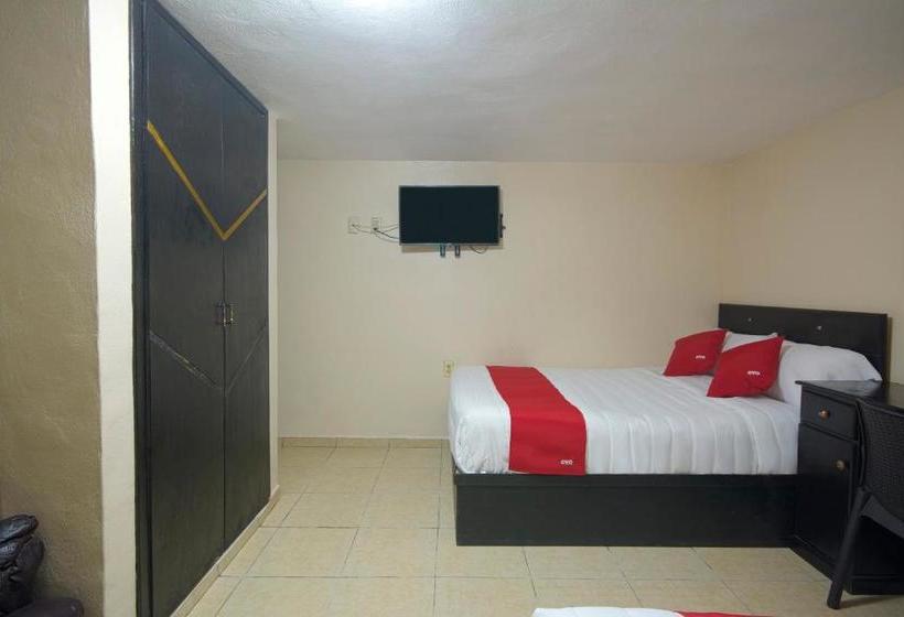 Отель Bicentenario