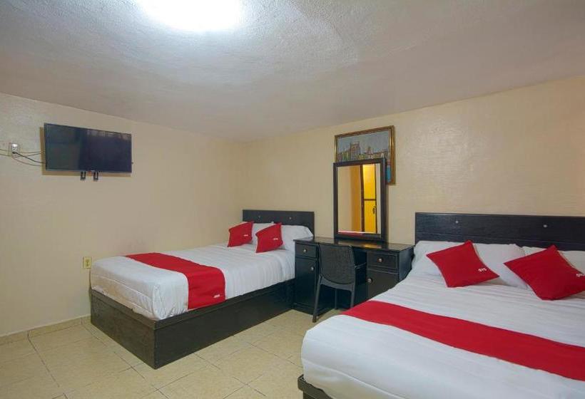 Отель Bicentenario