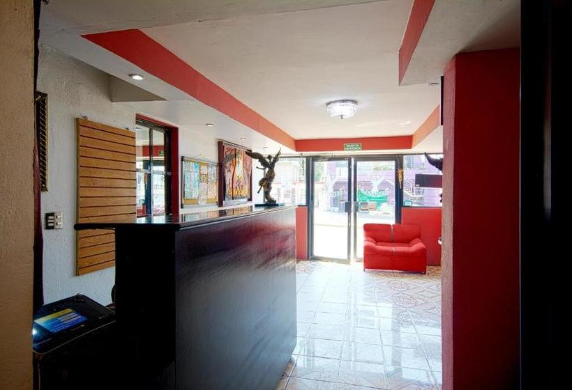 Отель Bicentenario