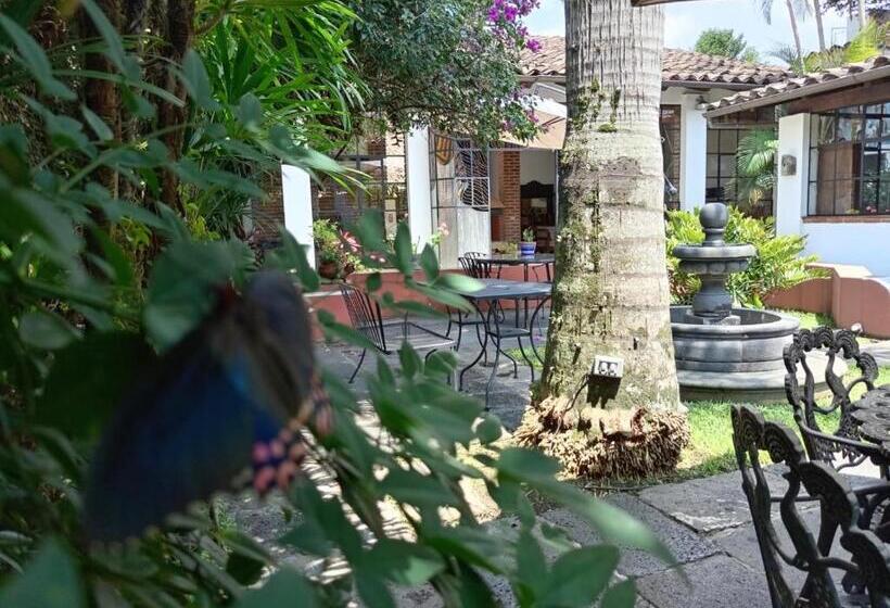 Отель Boutique Casabella