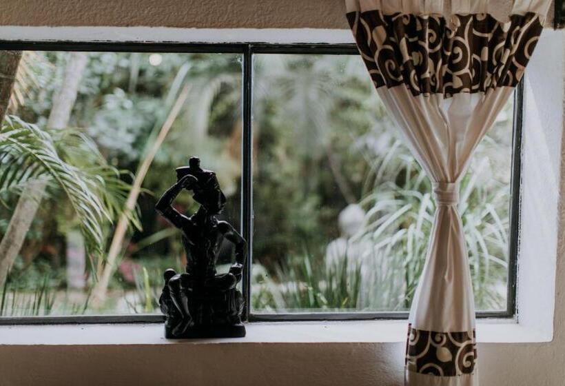 酒店 Boutique Teocalli