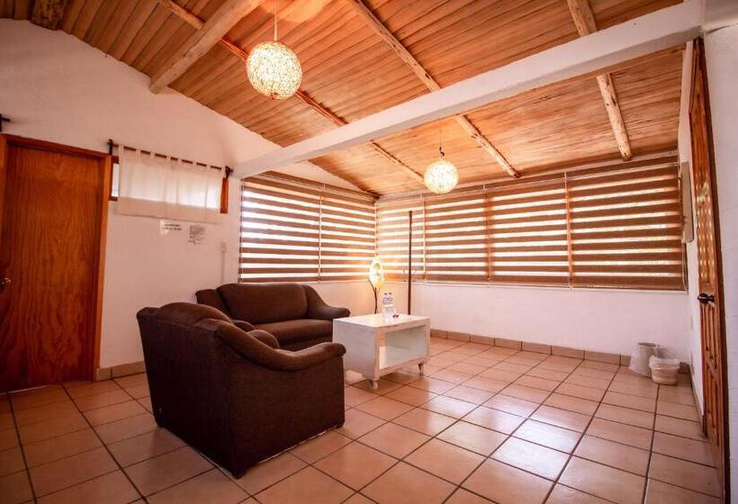 酒店 Boutique Teocalli