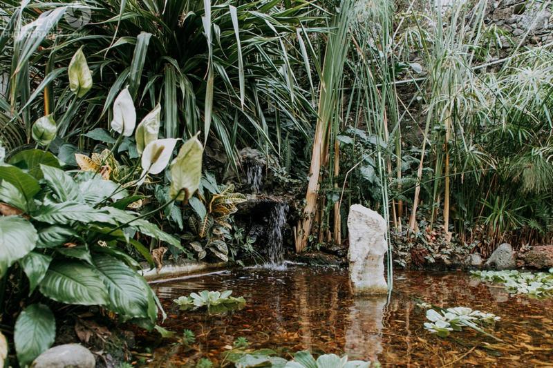 酒店 Boutique Teocalli