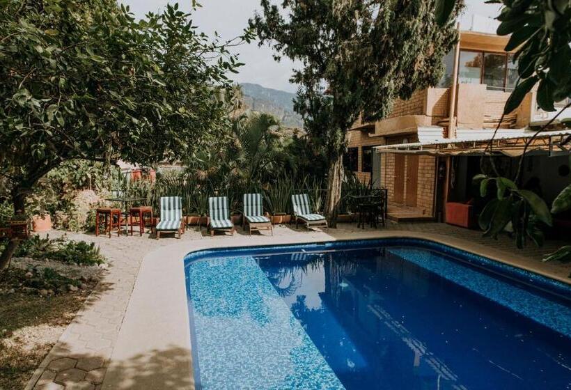 酒店 Boutique Teocalli