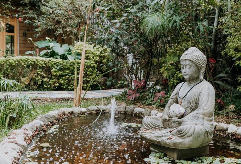 酒店 Boutique Teocalli