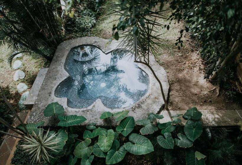 酒店 Boutique Teocalli