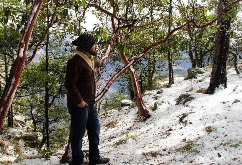 Отель Cabañas Los Portales Barrancas Del Cobre