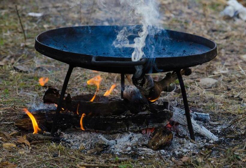 Отель Cabañas Los Portales Barrancas Del Cobre