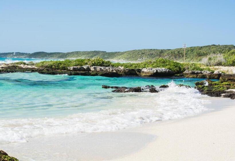 酒店 Caleta Tankah