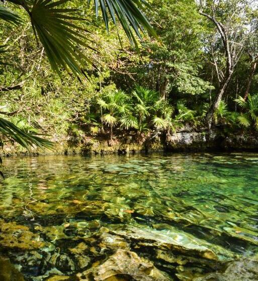 酒店 Caleta Tankah