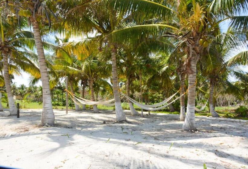 酒店 Caleta Tankah