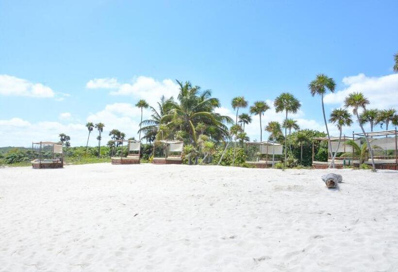 酒店 Caleta Tankah