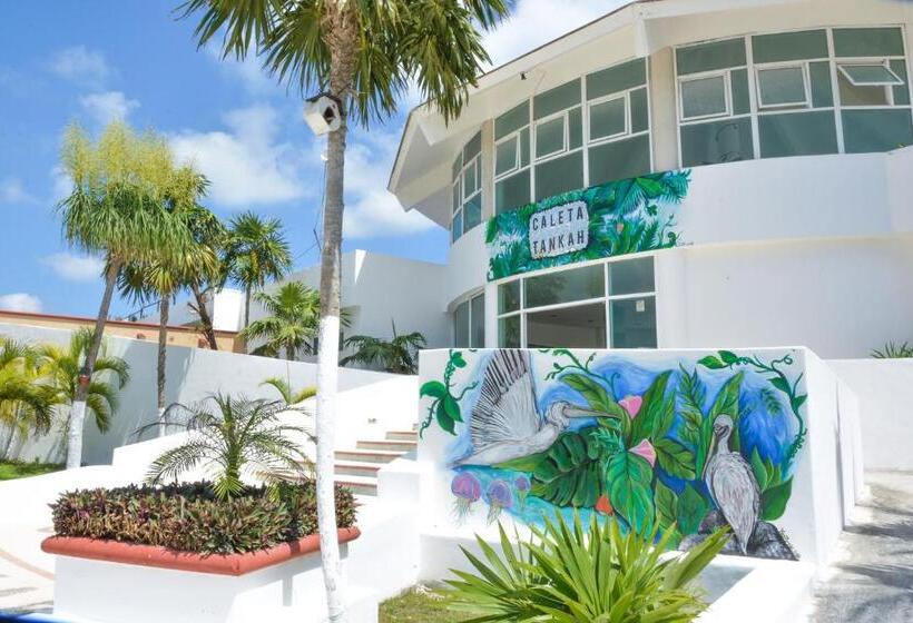 酒店 Caleta Tankah