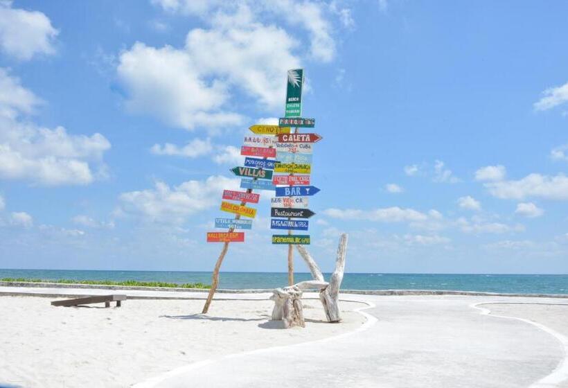 酒店 Caleta Tankah