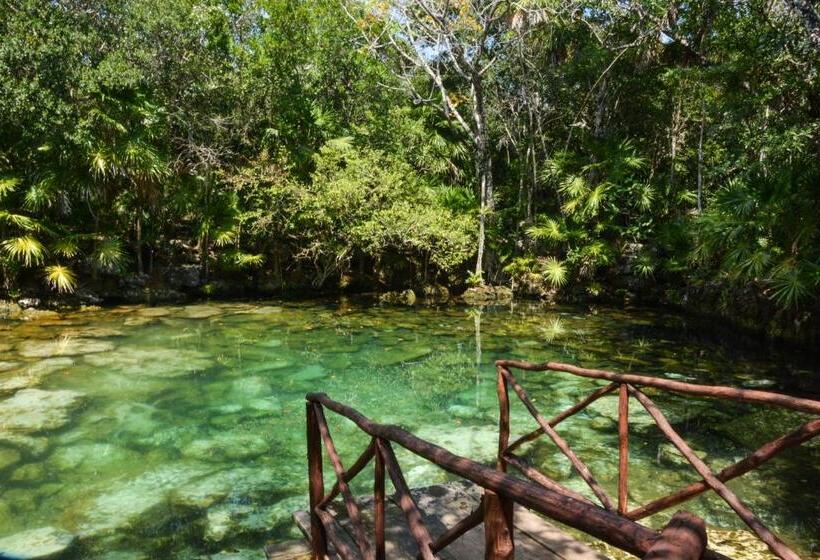 酒店 Caleta Tankah