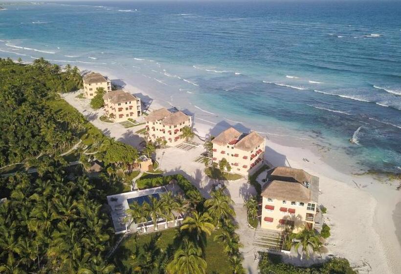 酒店 Caleta Tankah