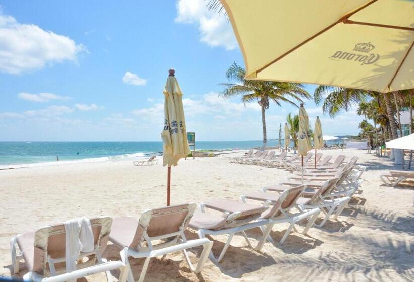 酒店 Caleta Tankah