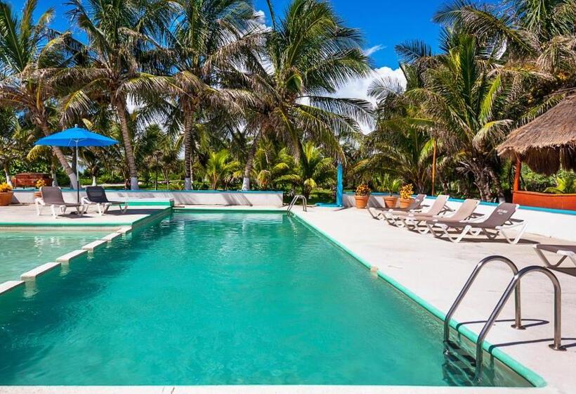 酒店 Caleta Tankah