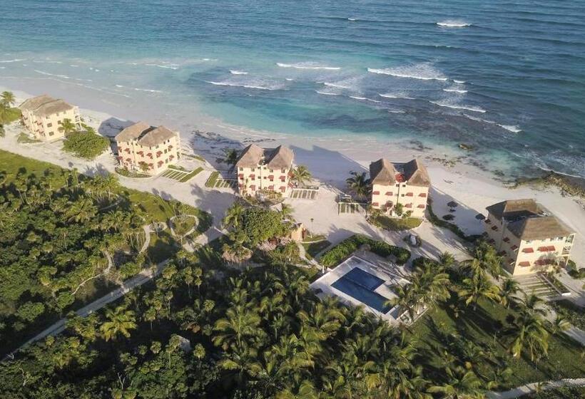 酒店 Caleta Tankah