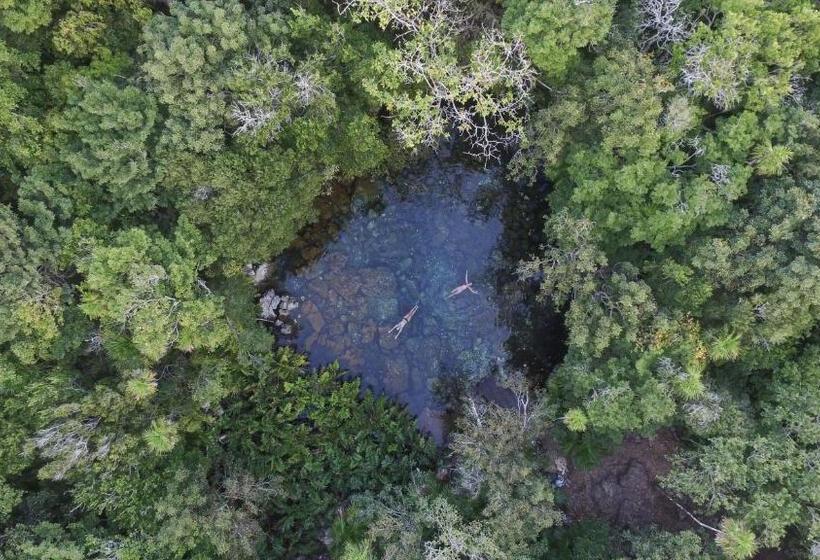 酒店 Caleta Tankah