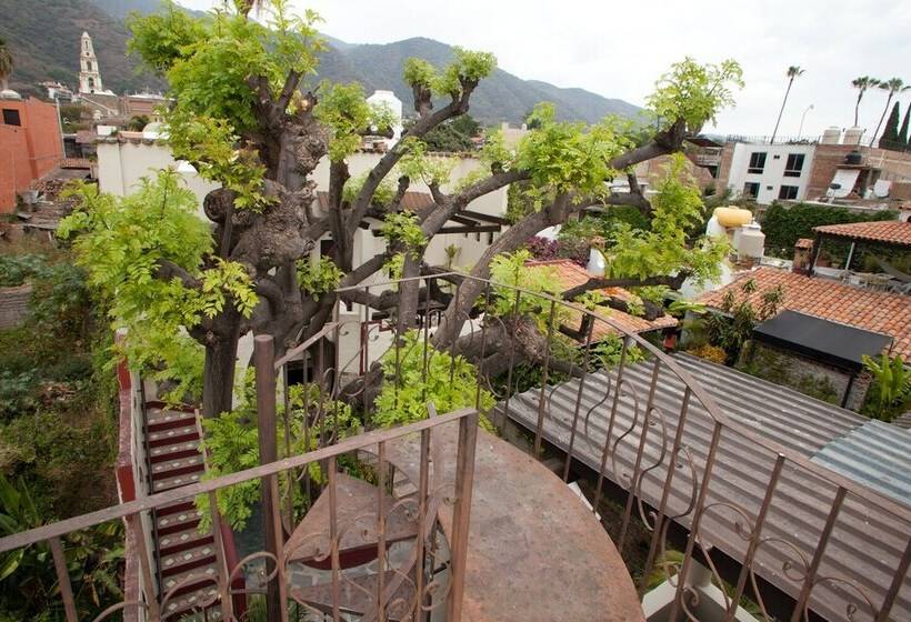 ホテル Casa Blanca