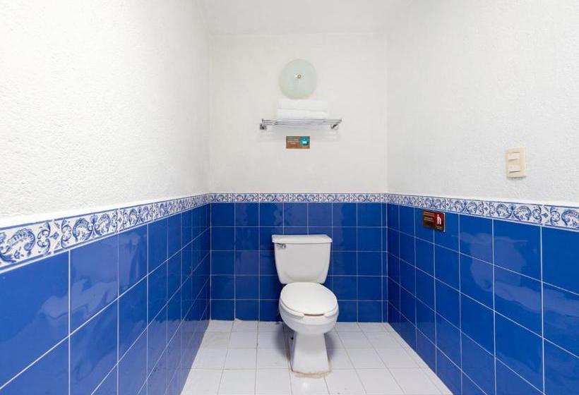 فندق Cava Piedra