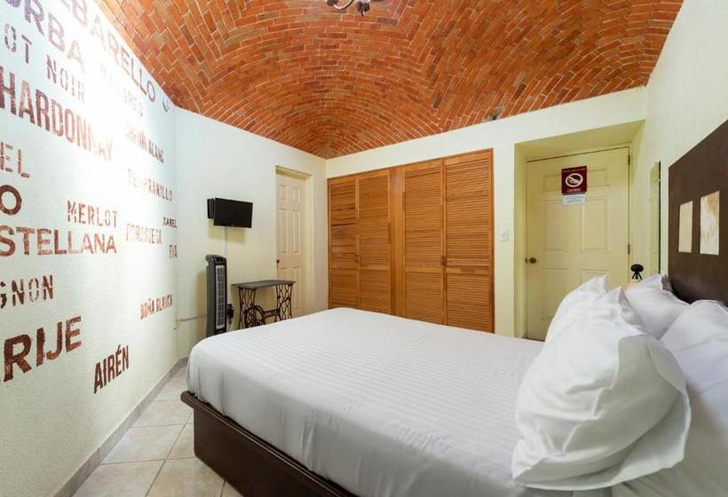 فندق Cava Piedra