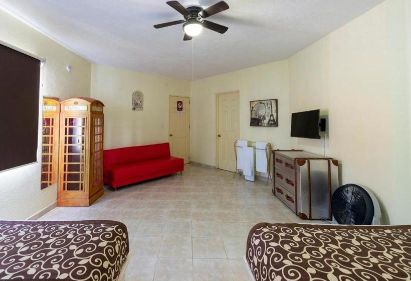 فندق Cava Piedra