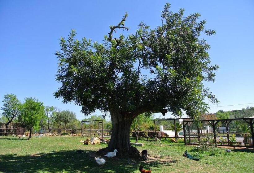 호텔 Centre Algarve