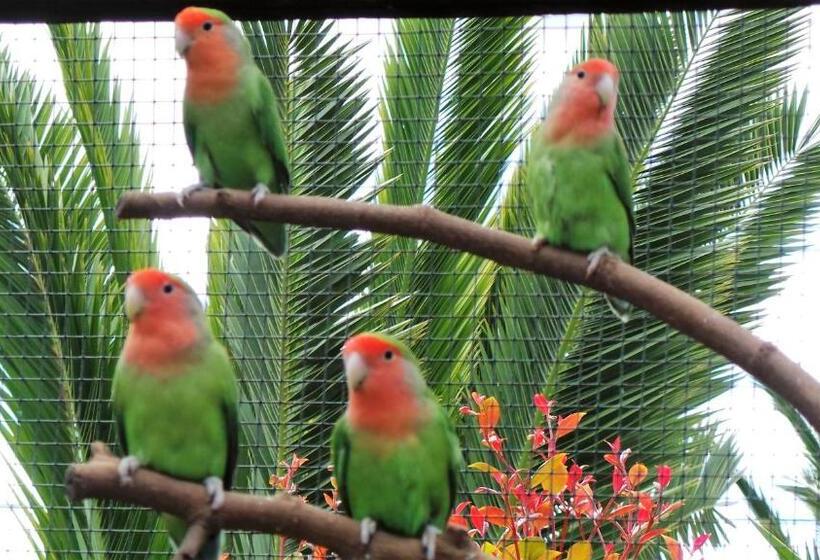 호텔 Centre Algarve