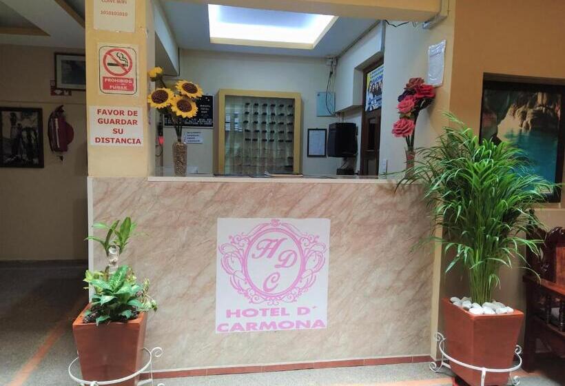 Отель D´ Carmona