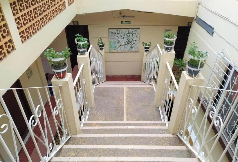 Отель D´ Carmona