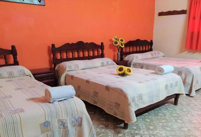 Отель D´ Carmona