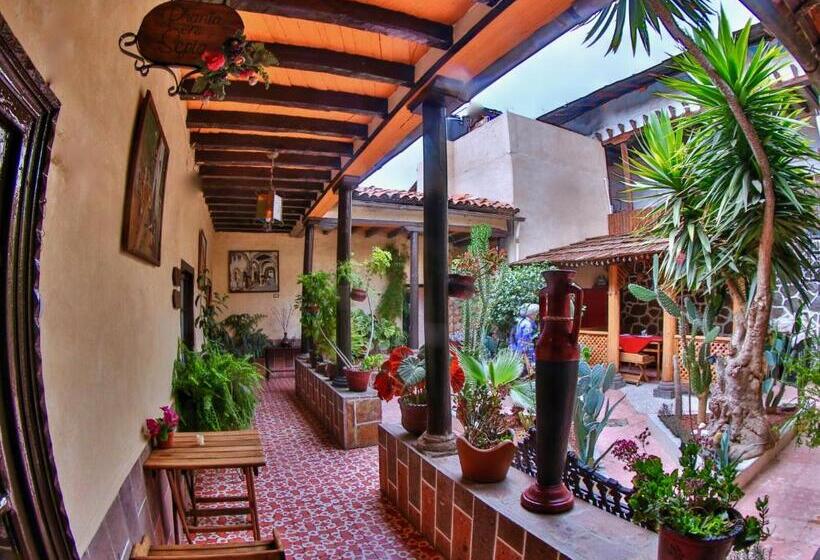 בית מלון כפרי Del Carmen