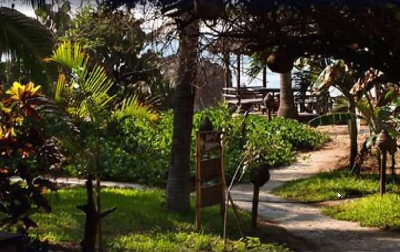 酒店 El Alquimista Yoga Spa