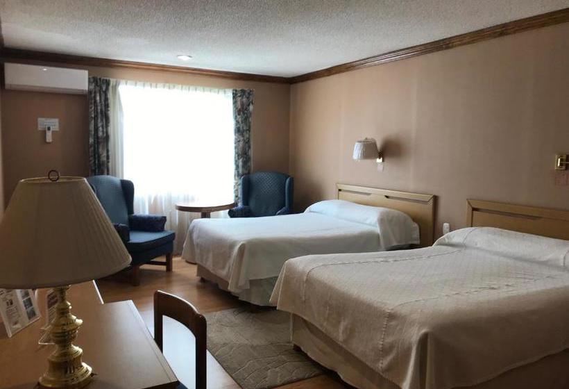 Отель El Camino Real