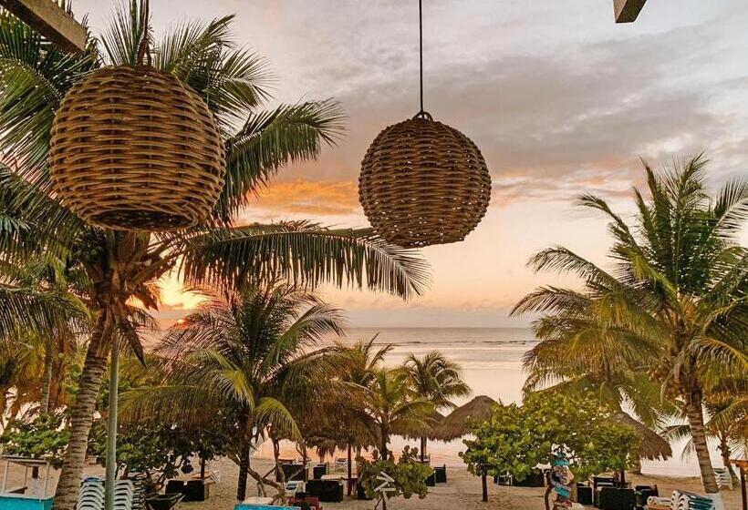 Отель El Fuerte Beach Apartments