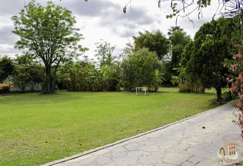 El Molino Hotel Boutique