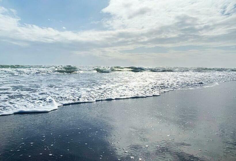 호텔 Gran Palmeiras