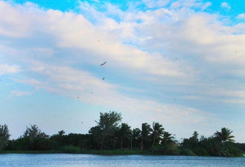 호텔 Gran Palmeiras