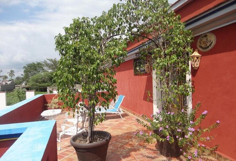 Отель Hacienda Flamingos