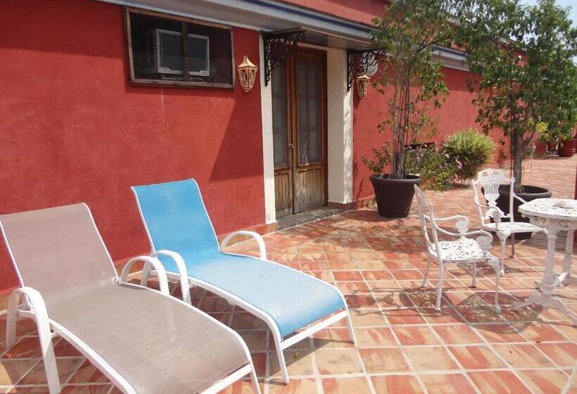 Отель Hacienda Flamingos