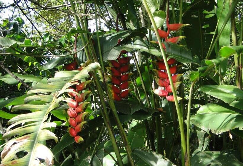 فندق Hacienda Xico Inn