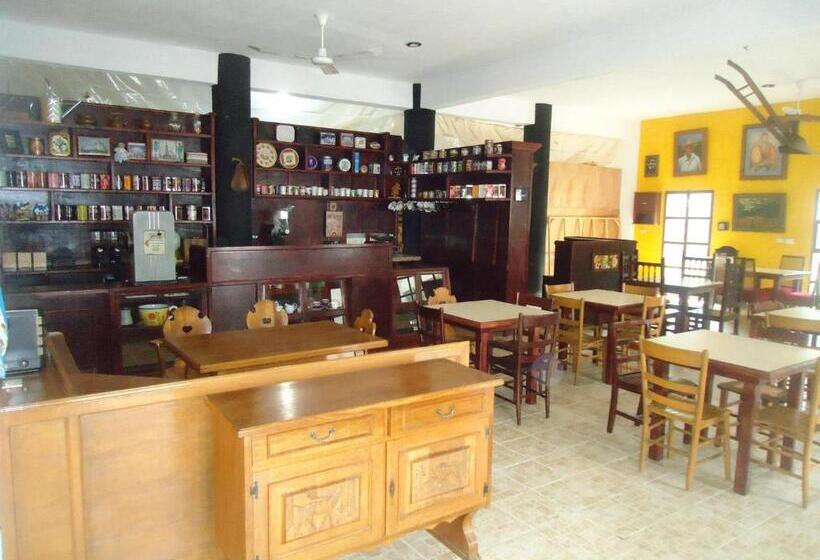 فندق Hacienda Xico Inn