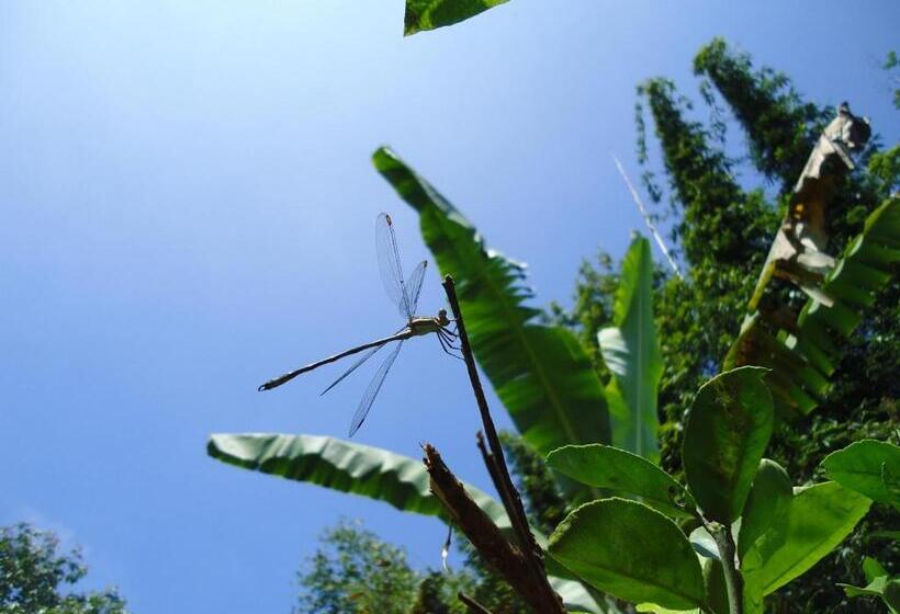 فندق Hacienda Xico Inn