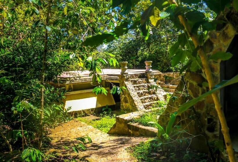 فندق Hacienda Xico Inn