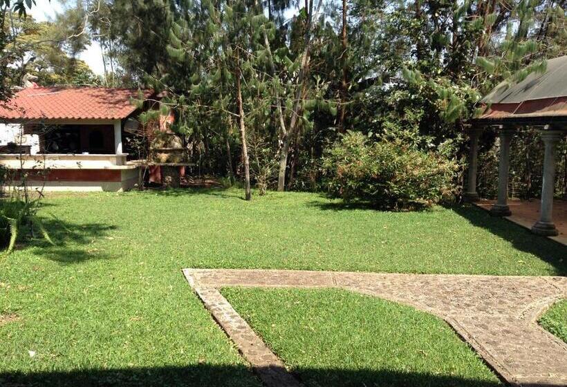 فندق Hacienda Xico Inn